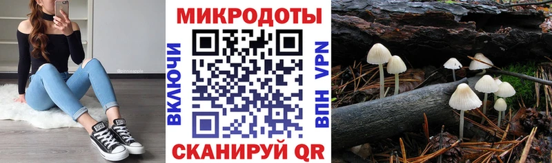Псилоцибиновые грибы MAGIC MUSHROOMS  блэк спрут   Гдов 