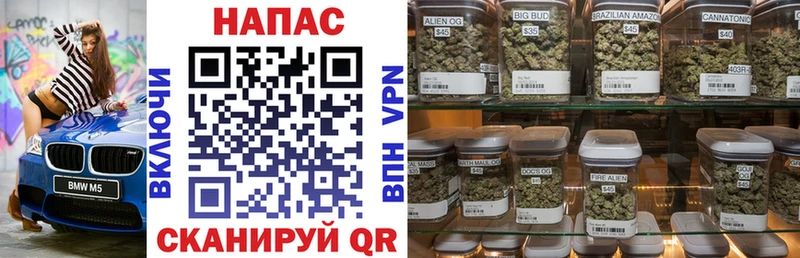 Канабис OG Kush  цены   Гдов 